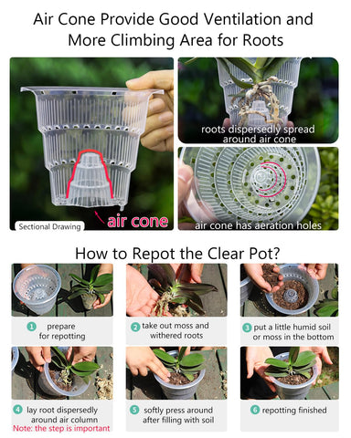 Meshpot set of 2 pots suits indoor and outdoor orchid displays.
