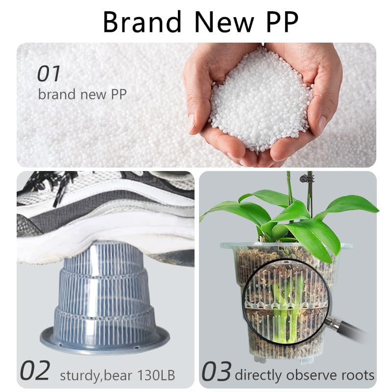 Meshpot orchid pot with ventilation holes improves drainage and air exchange.