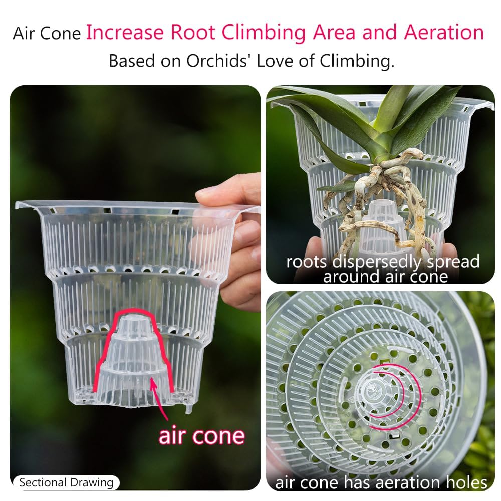 Meshpot white outer pot retains heat and moisture for orchids