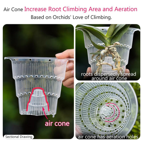 Meshpot white outer pot retains heat and moisture for orchids