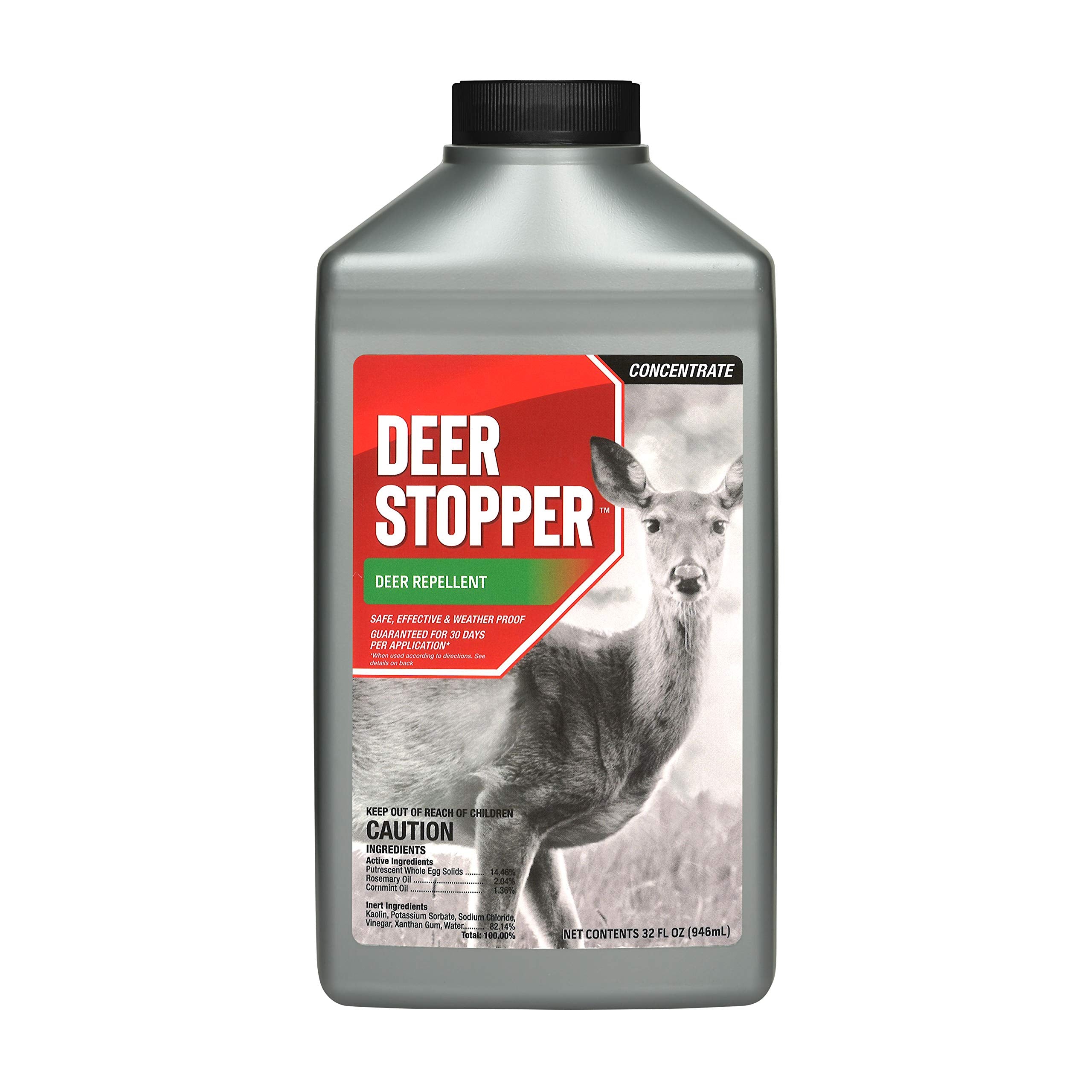 Messinas Deer Stopper quart concentrate bottle ready to deter deer in home gardens.