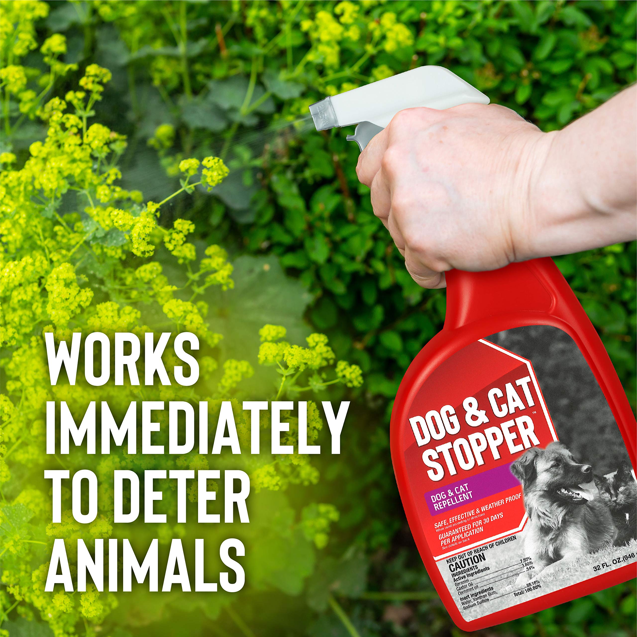 Messinas Dog & Cat Stopper indoor use protects furniture with humane deterrence.