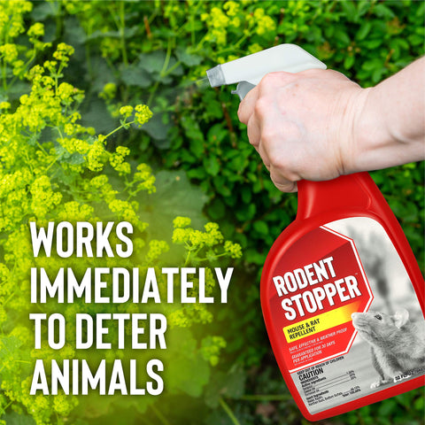 Messinas Rodent Stopper guards flower beds from rodent damage.