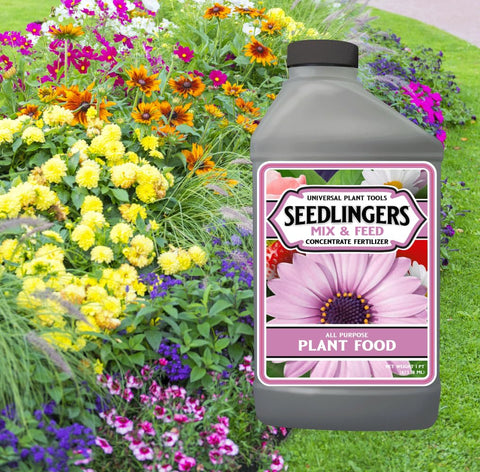 Messinas Seedlingers L-PF-032-C dilution in water shows fast-acting nutrition for roots.