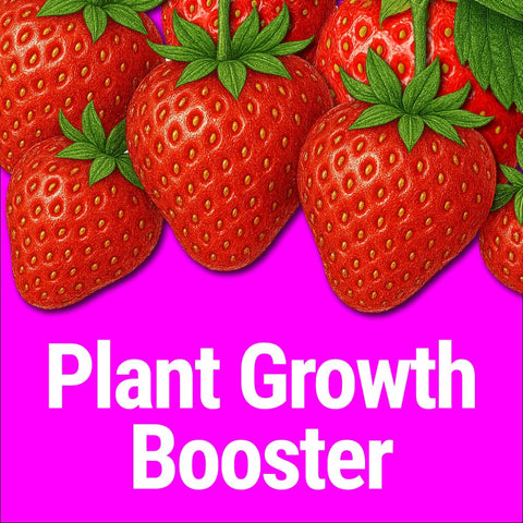 Messinas Seedlingers Super Yield root health support for vigorous growth.