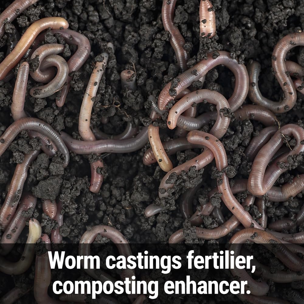 Messinas Seedlingers Worm Magic nourishes beneficial bacteria and fungi for soil health.