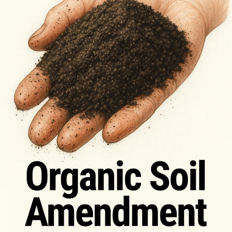 Messinas Seedlingers Worm Magic enhances moisture retention in soil.