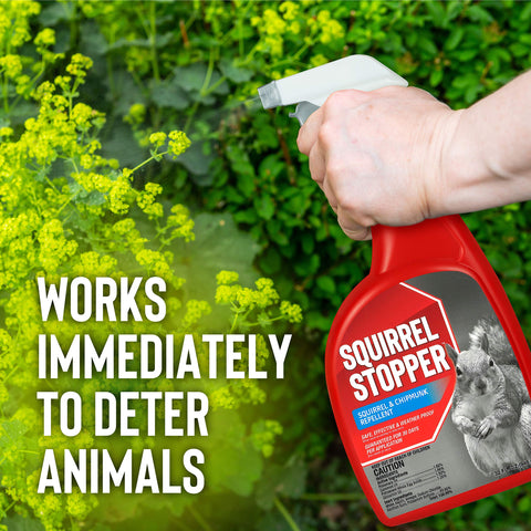 Messinas Squirrel Stopper bird feeder protection keeps feeders squirrel-free.