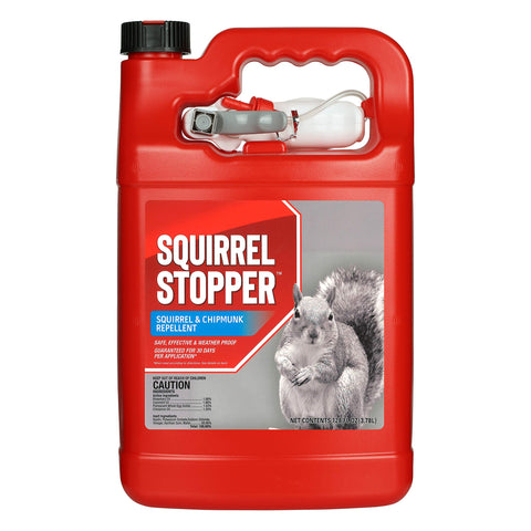 Messinas Squirrel Stopper bottle demonstrates easy outdoor application to deter squirrels.
