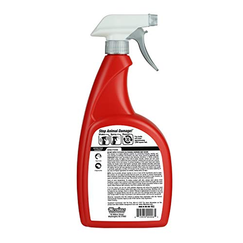 Messinas Squirrel Stopper spray mist enables quick coverage for attics and patios.