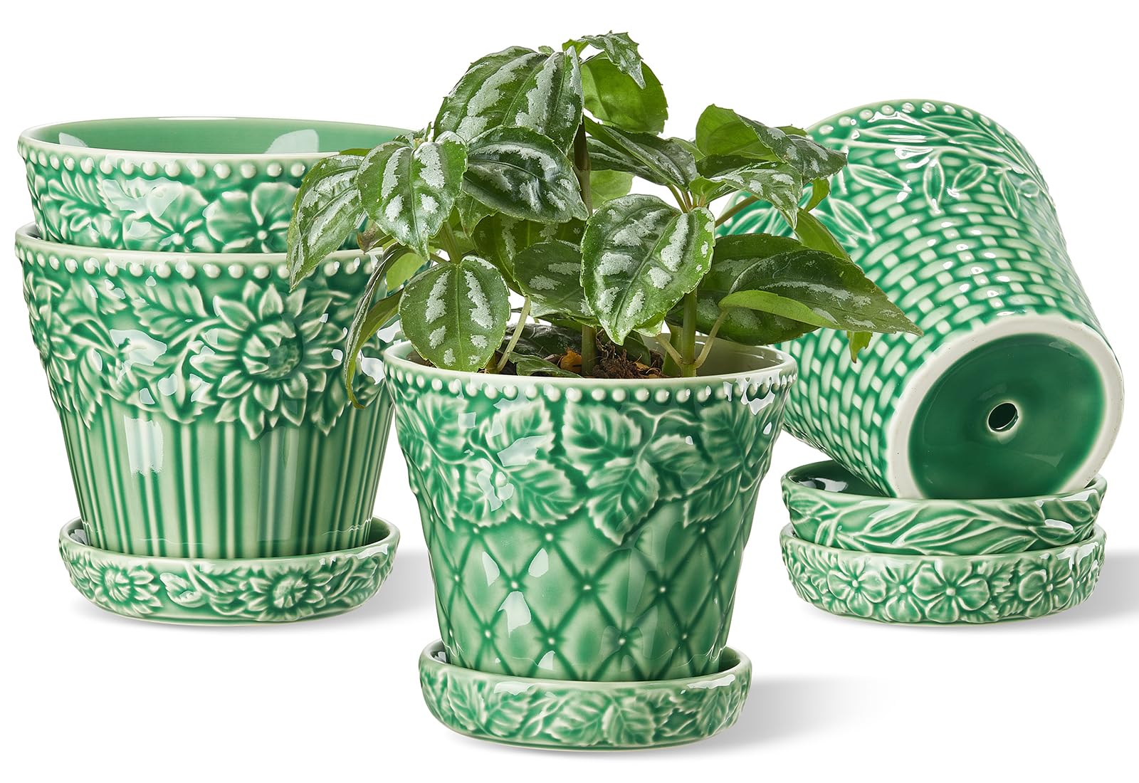 Metahom ceramic pot with embossed rim for stylish indoor plant displays