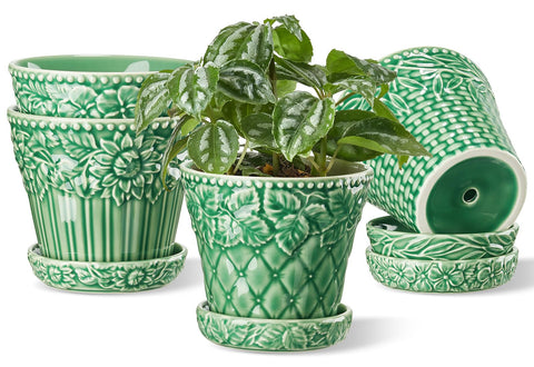 Metahom ceramic pot with embossed rim for stylish indoor plant displays
