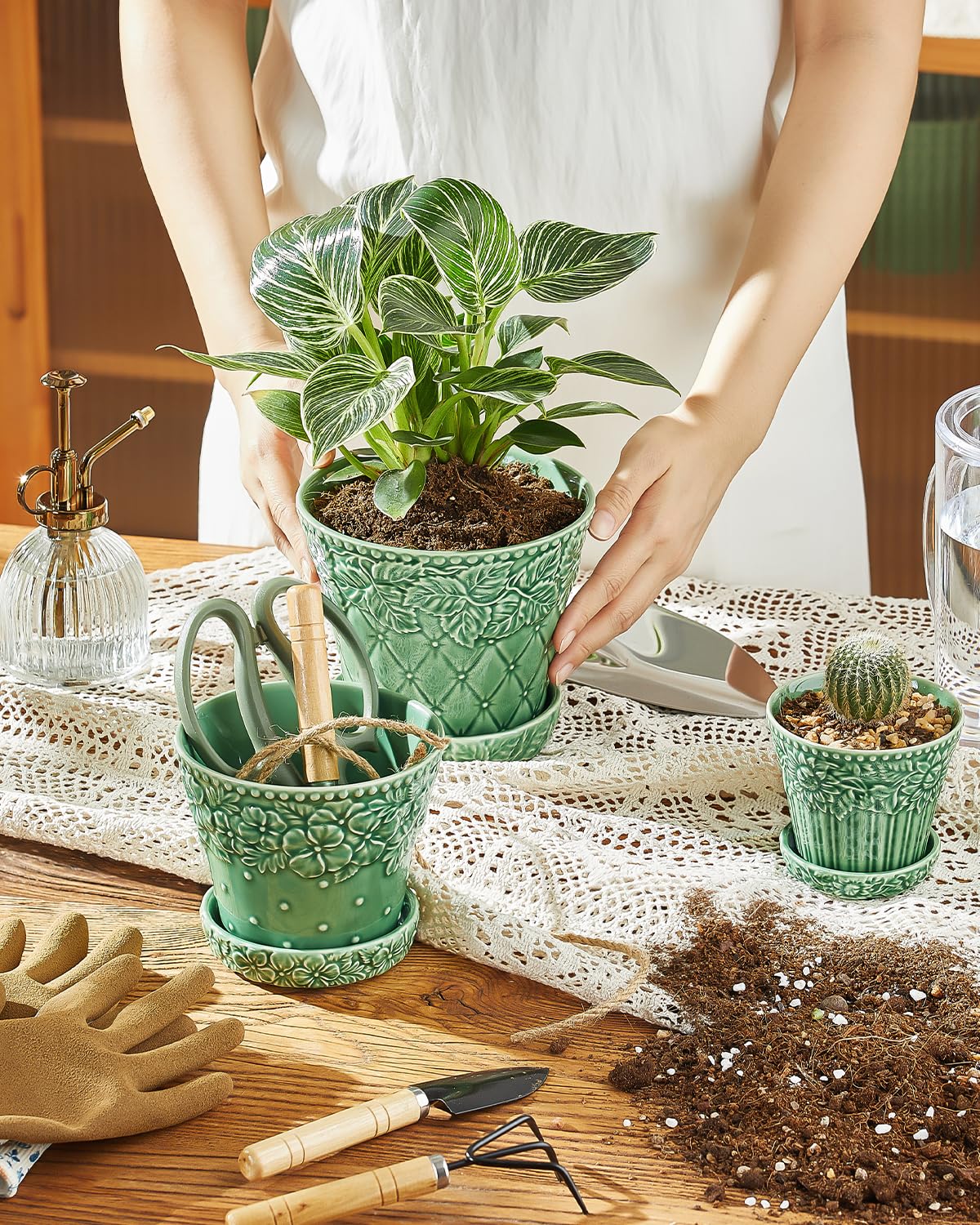Metahom ceramic pot on a sunny window sill for bright greenery