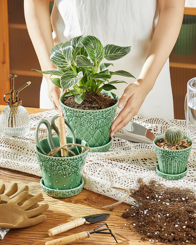 Metahom ceramic pot on a sunny window sill for bright greenery