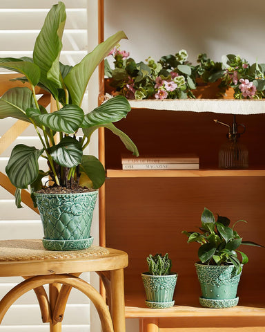 Metahom set of four green pots for cohesive plant displays