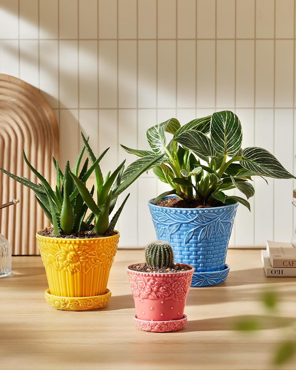 Metahom colorful planters in assorted colors brighten indoor spaces.
