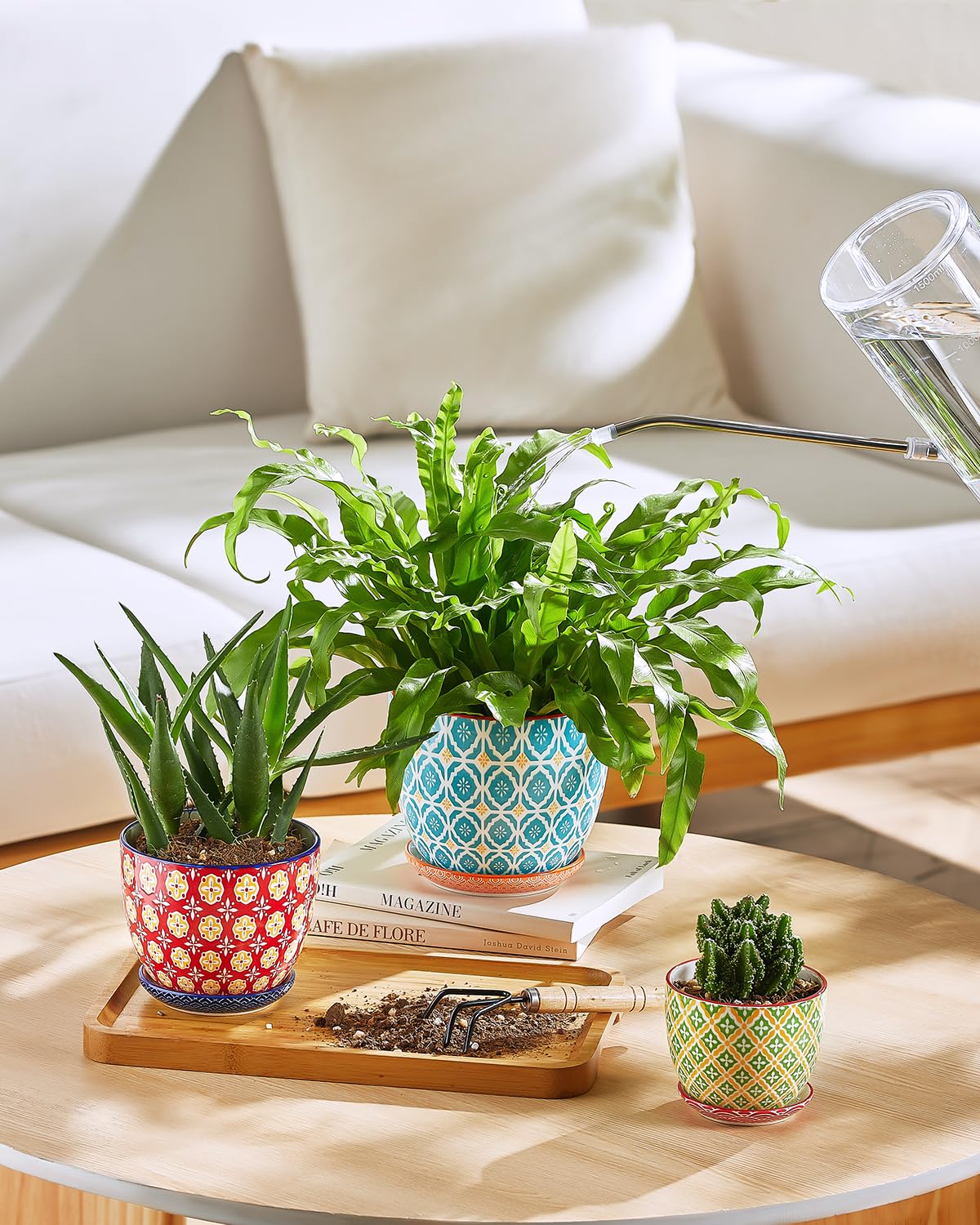 Metahom four-pack keeps windowsills organized with color.