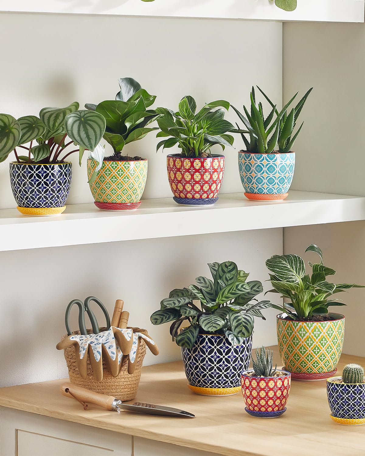 Metahom colorful pot makes a thoughtful gift for plant lovers.
