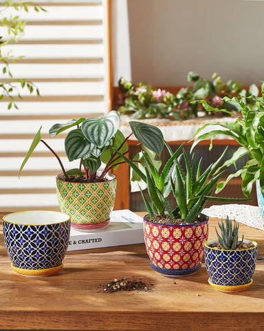 Metahom durable ceramic planter suitable for indoor and outdoor display.