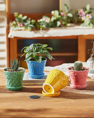 Metahom 3.8-inch succulent pot size suits small plants and succulents.