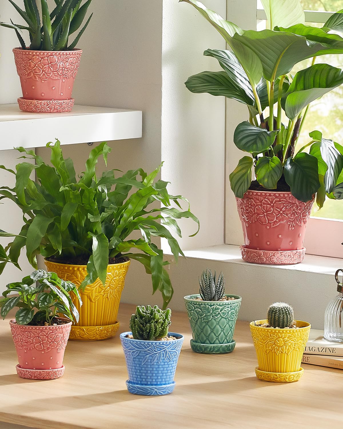 Metahom succulent pot shows drainage hole for healthier watering habits.