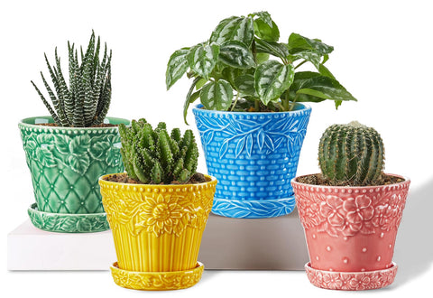 Metahom succulent pot with embossed rim for stylish indoor display.
