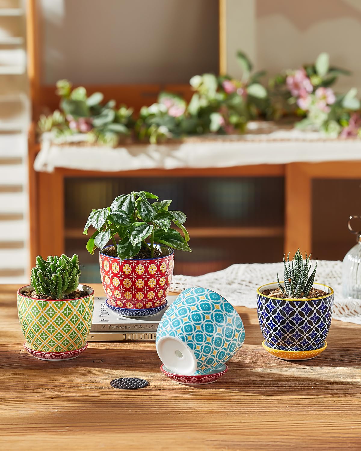 Metahom succulent pot with blue geometric pattern brings modern style to counters