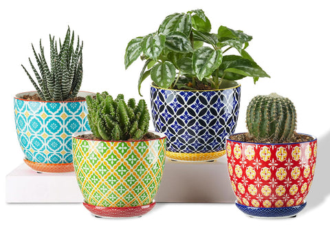 Metahom succulent pot with red geometric pattern brightens the windowsill display