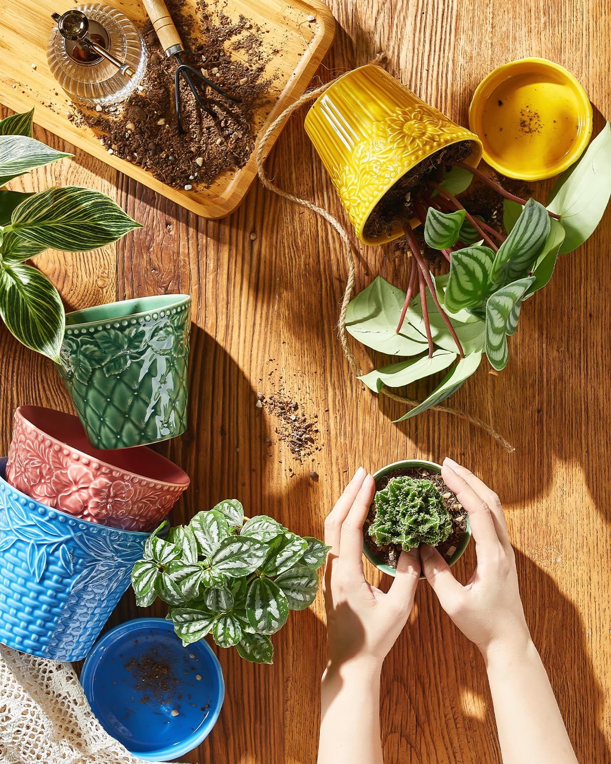 Metahom pot with saucer included to keep surfaces clean.