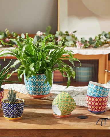 Metahom saucer included pot keeps surfaces clean and protected