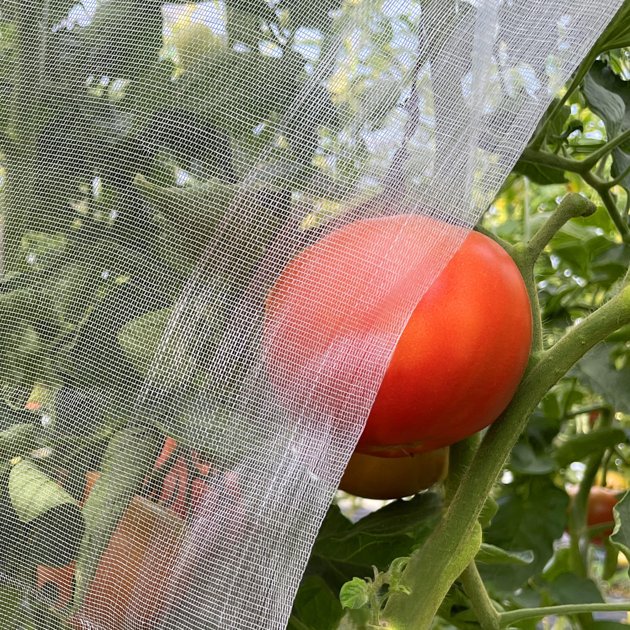 Meuallikit garden netting ultra-fine holes—close-up showing airflow-friendly protection.