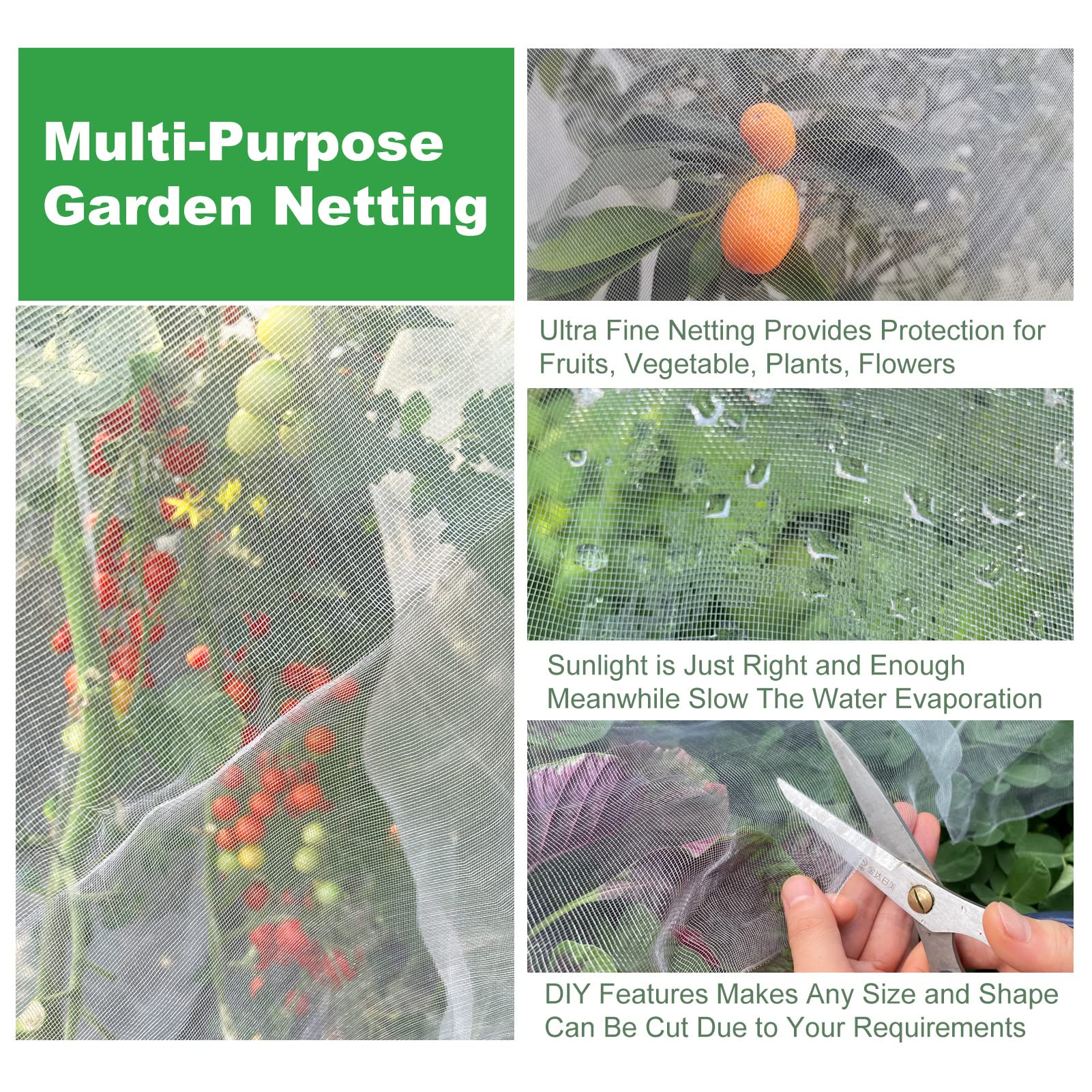 Meuallikit see-through design lets you observe plant growth