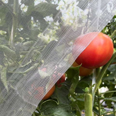 Meuallikit Ultra Fine Garden Netting 4x10 covering plants with breathable mesh for air flow and sun exposure