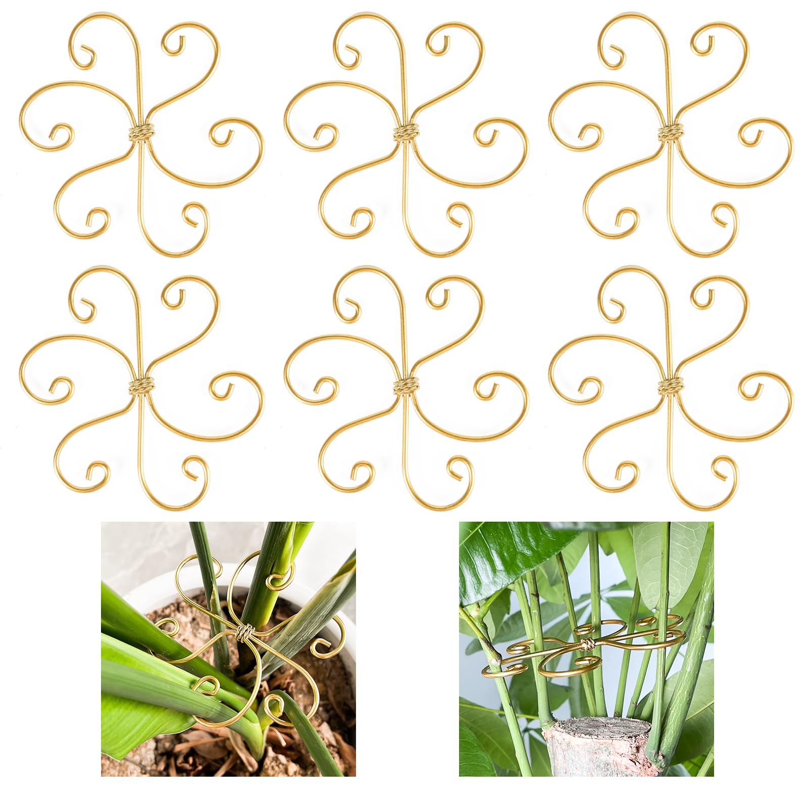 Mewcooss bamboo stem supports set for heavy Monstera vines staying upright.
