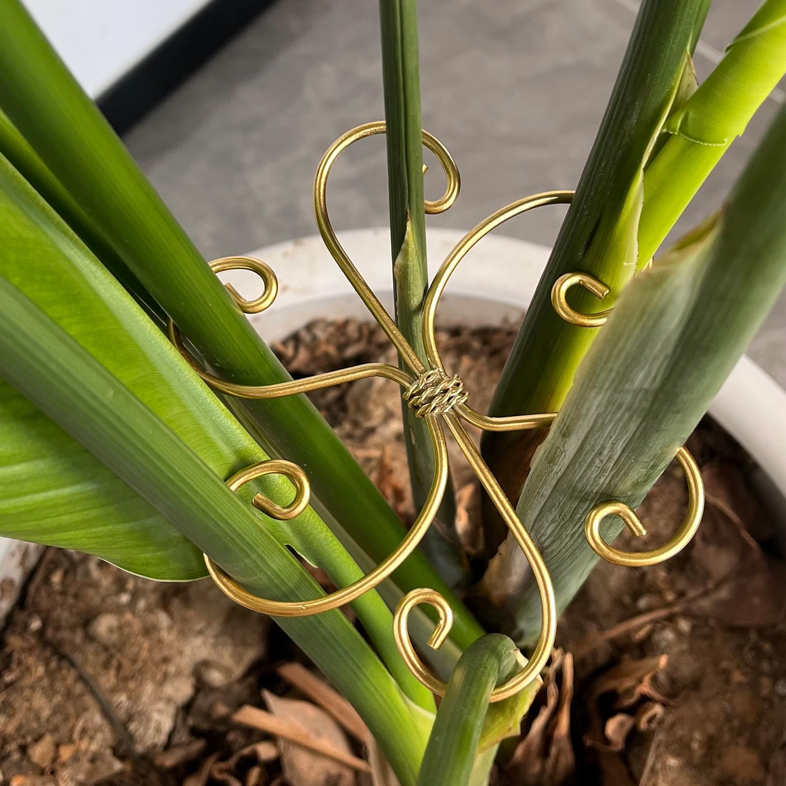Mewcooss plant stem holder design aids vertical growth for pots.