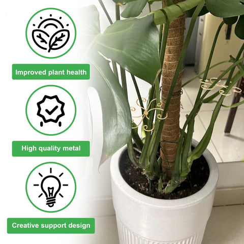 Mewcooss sturdy bamboo clamp offers reliable plant stabilization.