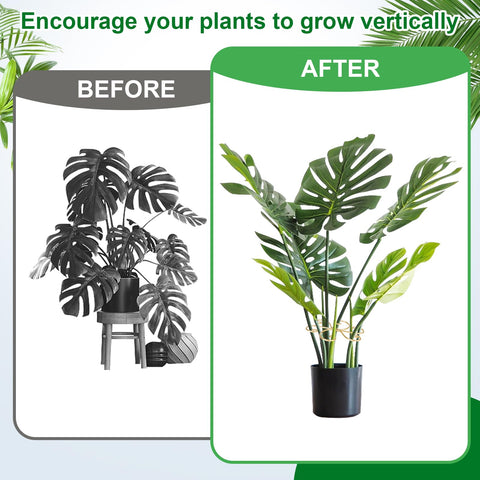 Mewcooss vertical growth support keeps stems neat and upright.