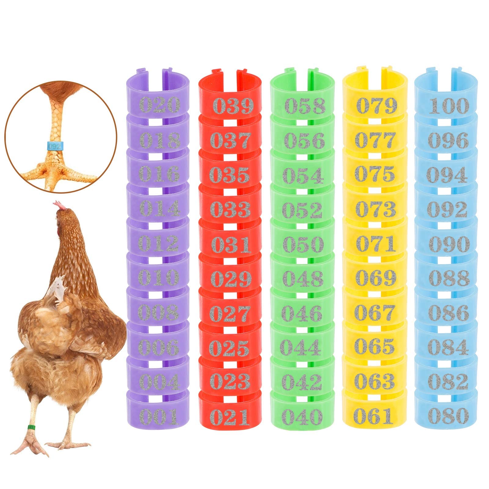 Mewtogo 16mm chicken leg rings in bright colors for quick flock identification.
