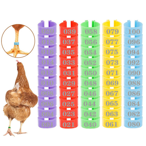 Mewtogo 16mm chicken leg rings in bright colors for quick flock identification.