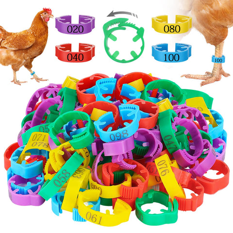 MEWTOGO 17-23mm adjustable leg bands on a chicken leg, durable plastic design