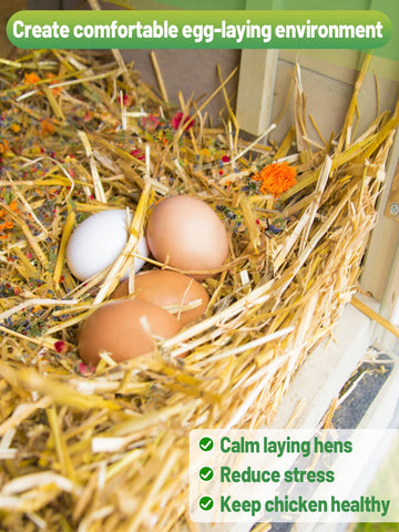 MEWTOGO six-dried-herbs-blend provides calming nest aroma.