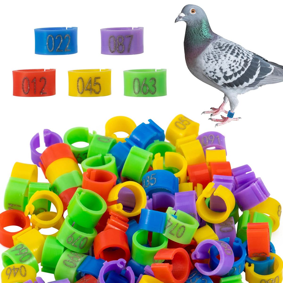 MEWTOGO 8mm pigeon leg rings ready for color-coded bird ID
