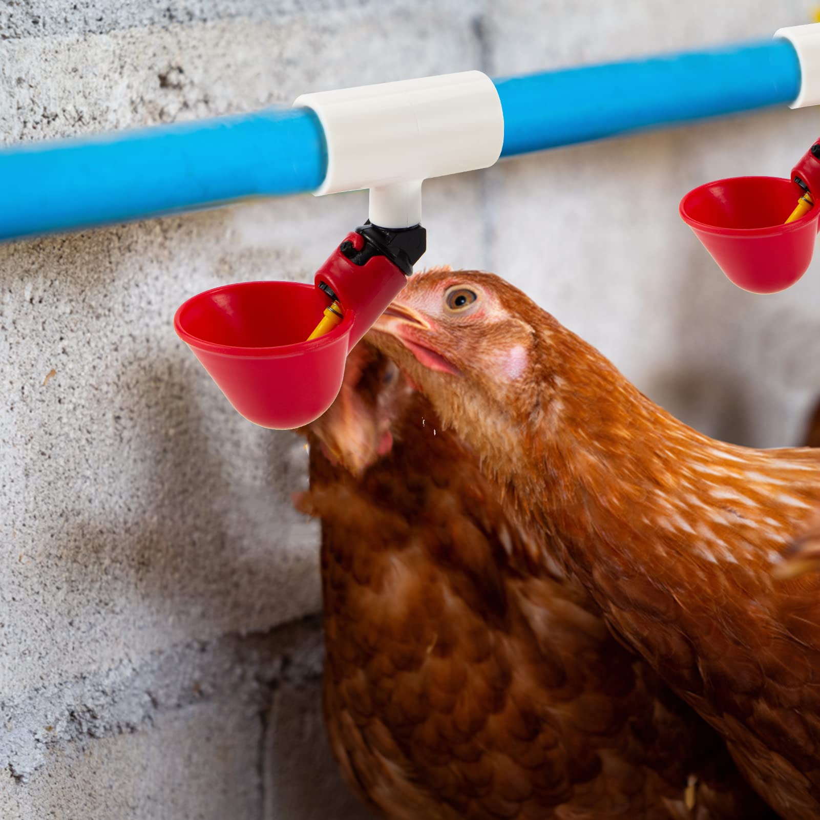 MEWTOGO sturdy PVC fittings ideal for farm coop upgrades.