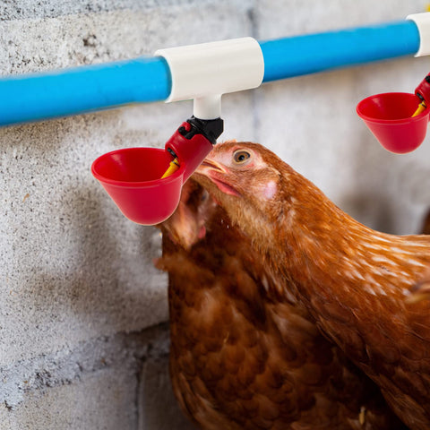 MEWTOGO sturdy PVC fittings ideal for farm coop upgrades.
