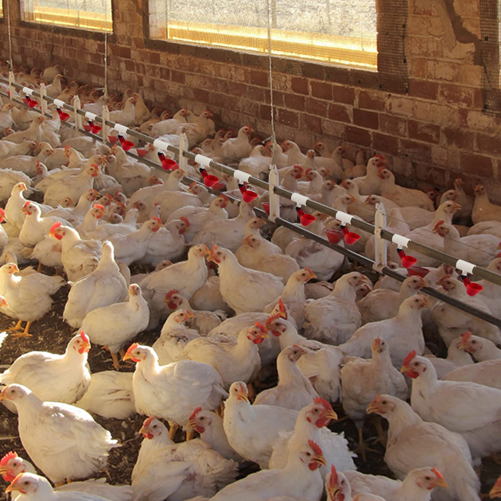 MEWTOGO fully automatic poultry waterer fittings compatible with nipples and cups.