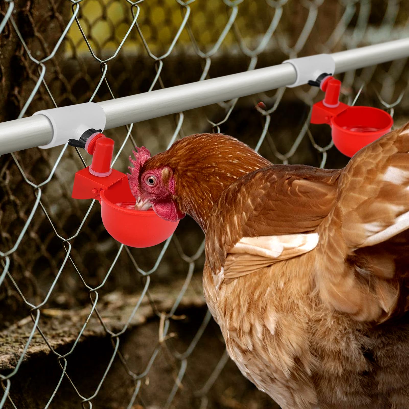 MEWTOGO fully automatic poultry waterer fittings.