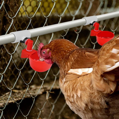 MEWTOGO fully automatic poultry waterer fittings.