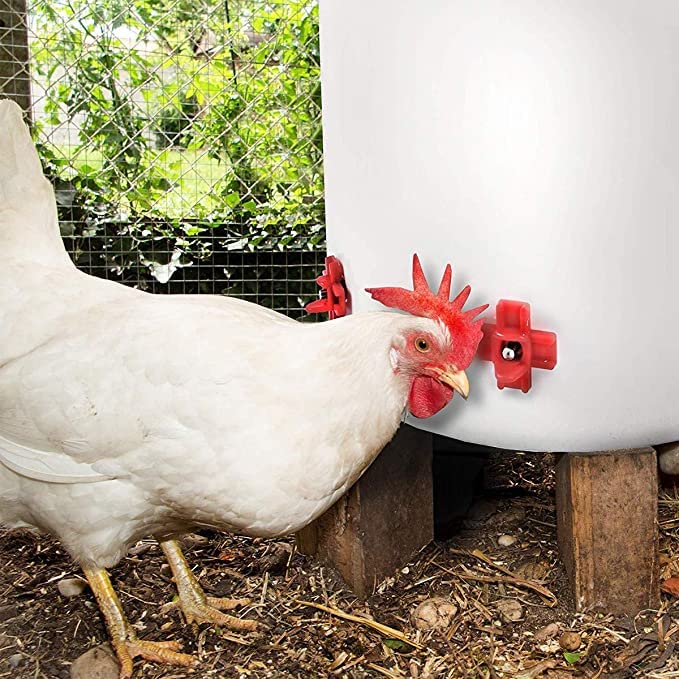 MEWTOGO installation tool for straightforward nipple setup in poultry waterers