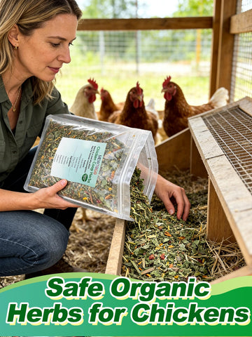 MEWTOGO six-herbs blend air-dried to preserve fragrance for poultry use.