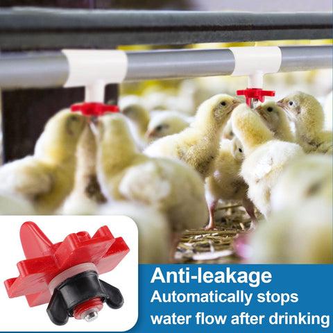 Mewtogo waterer installation tool for quick on-site setup